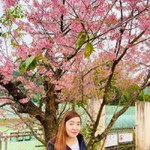 Suttida Seangtuy profile icon