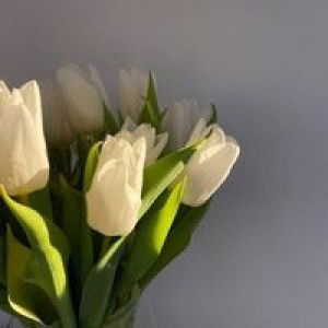 Wan Suhaila profile icon