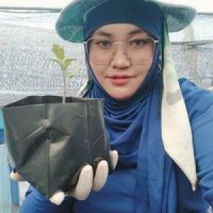 Ao'm Wanset profile icon