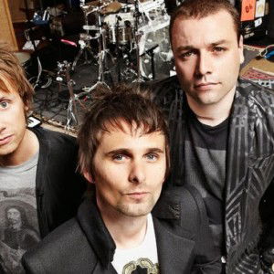 Dolphindolphin profile icon