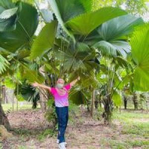 Nuttiya Madwa profile icon