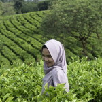 Ayu Hartinah profile icon