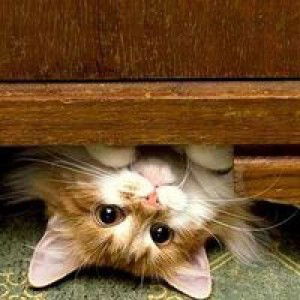 Aduuu_duu profile icon