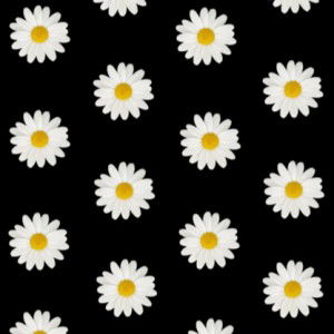 alya anwar profile icon