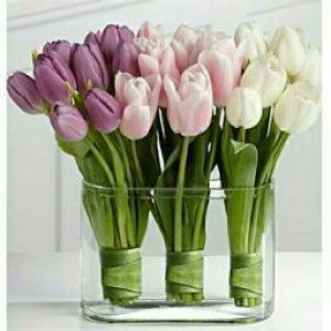 the bungoos profile icon