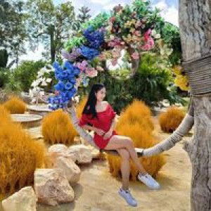 Nikky Nikky profile icon