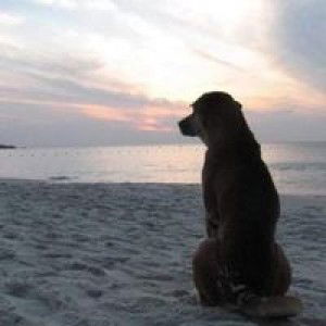 วรกาญจน์ 'น์ profile icon