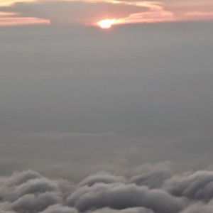 Rizda Bagus profile icon