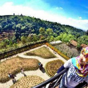 neni nadian profile icon