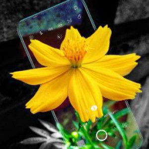 Yuyun Sri W. profile icon