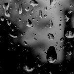 Dina Mahrous profile icon