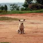 Anyada Jumnongchob profile icon