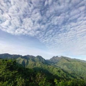 Anies Choirunnisa profile icon