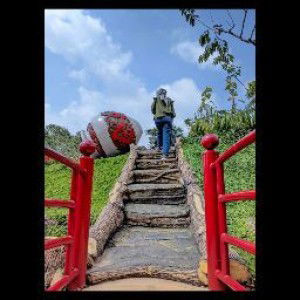 Pitri Dini profile icon