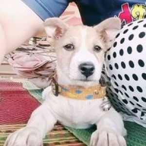 บ้านพี่อยู่สุดซอย เลี้ยวซ้ายไปก็ถึง profile icon