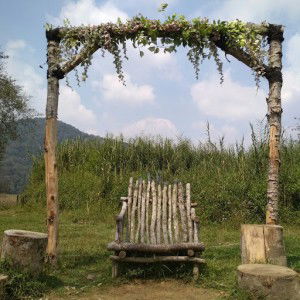 l nurkomala profile icon