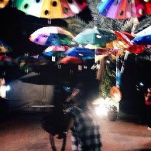 lestari fajariyah profile icon