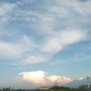 Ayrin Novia profile icon