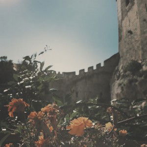 Momi Ive profile icon