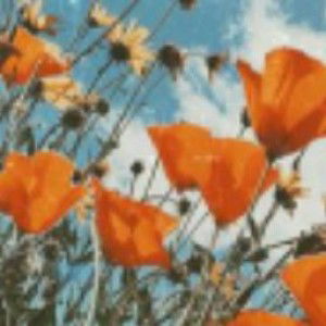 mayang sari profile icon