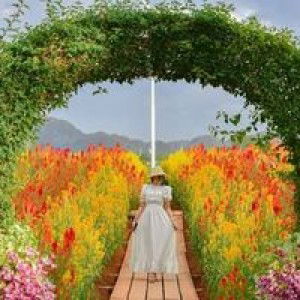 Nutcha Sit profile icon