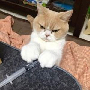 Praprai Khopentai profile icon