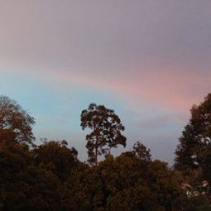 Widia Fusfita sari profile icon