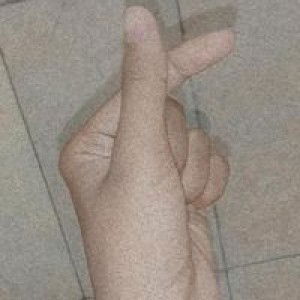 Ayla A'i profile icon