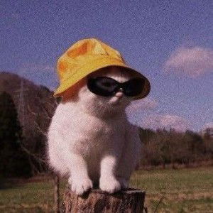 nabilahhabdullah _ profile icon