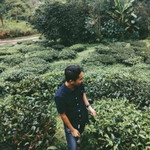 Zaim Mahfuz profile icon