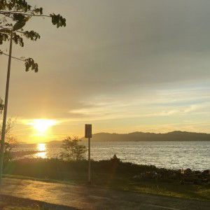 Sofia Julhamin profile icon