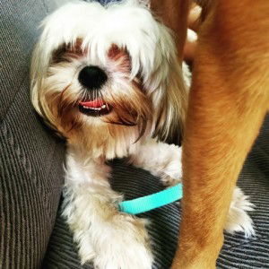 mary G ansoc profile icon