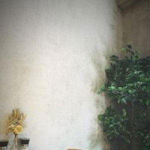 Panda Panda profile icon