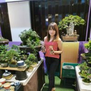 Nik Sayamwara profile icon