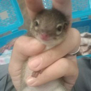 mod&phon&hall profile icon