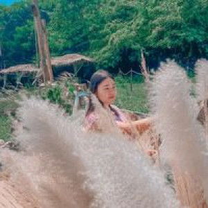 ชฎาภา พลสีลา profile icon