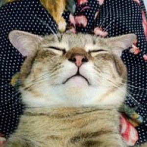 Jira Ws profile icon