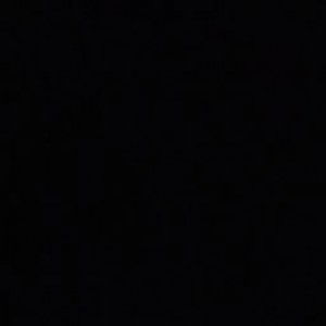 wulan kurnia sari profile icon