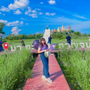 Fah Amornpan profile icon