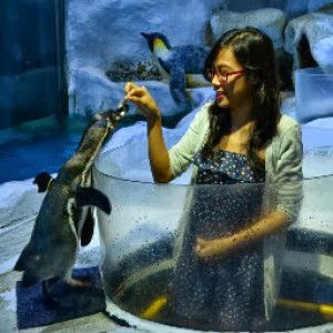 Sheena S profile icon