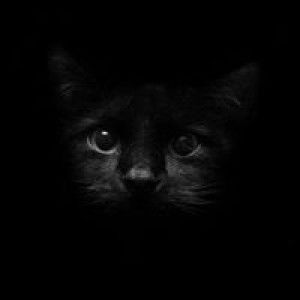 Tapanee Kaiwiset profile icon