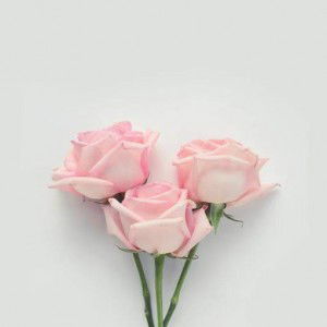 Fitria N profile icon