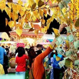 Piiz Fern profile icon