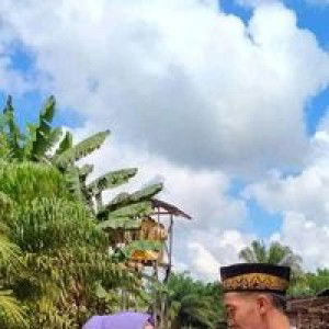 NIATIN WARHANAH profile icon