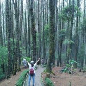 Yohana Yuntrini Lusianti Pakpahan profile icon