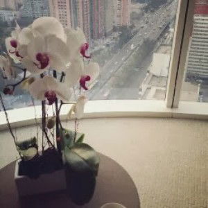 Anggraeni Ratri profile icon