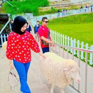 Sha Azreen profile icon