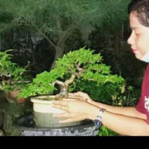 Siti Sa profile icon