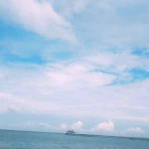 Tri Widyawati profile icon