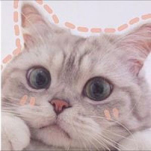 Priyanuch Khaikeaw profile icon